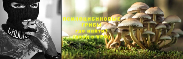 метадон Алексин